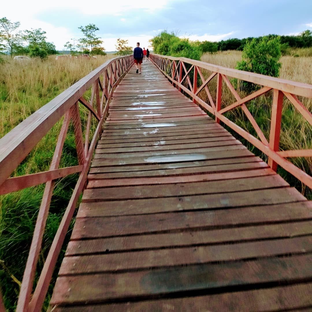 Paisajes del Iberá