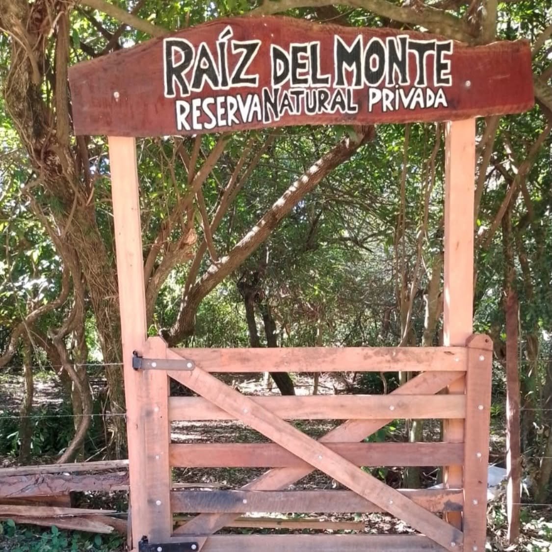 Paisaje del Portal San Antonio con vegetación típica